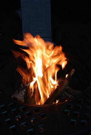 LionFire4.jpg